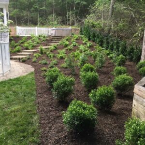 Sag harbor feature image