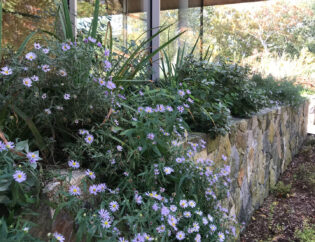 Watermill rooftop feature image