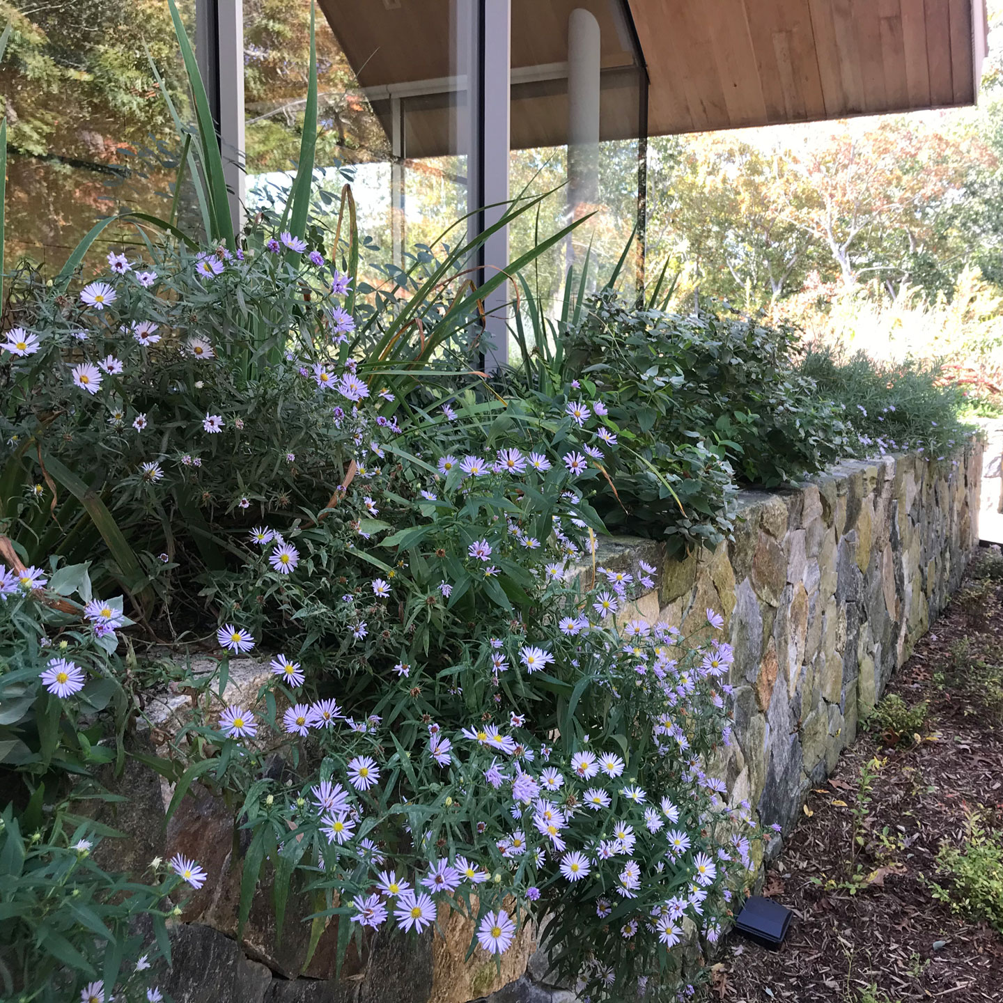 Watermill rooftop feature image