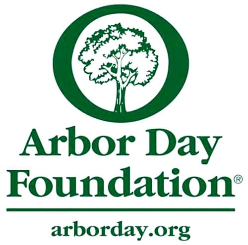 ArborDayFoundationLogoStacked green