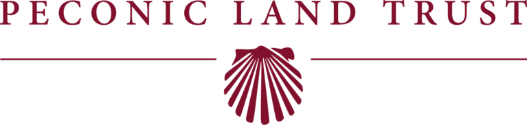welcome logo plt logo 2