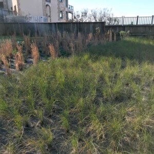 resenburg-gallery-1